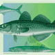 Illustration for article titled The Designs Norway Rejected For Its New Banknotes Are Amazing